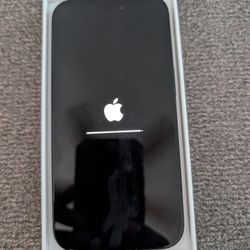 Apple iPhone 16