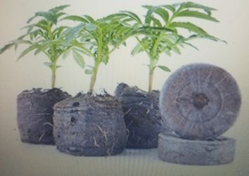 50 Jiffy medium seed starter pellets- expands to 1-1/2" diameters (36mm) x 1-5/8" tall