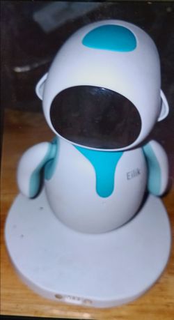 Robot pet