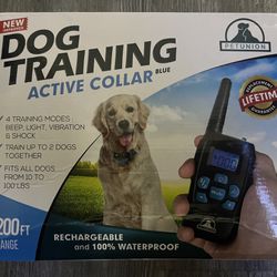 PETUNION Dog Training Active Collar
