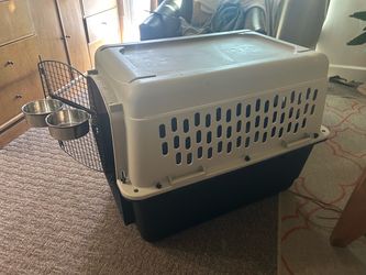 Hard shell dog crate