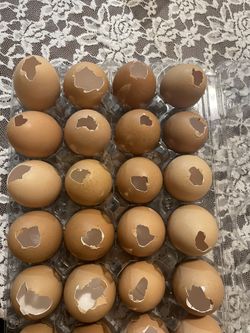 Eggs Emptied …2 Dozen 