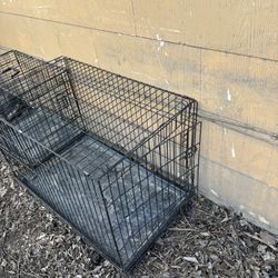 Dog Kennel 