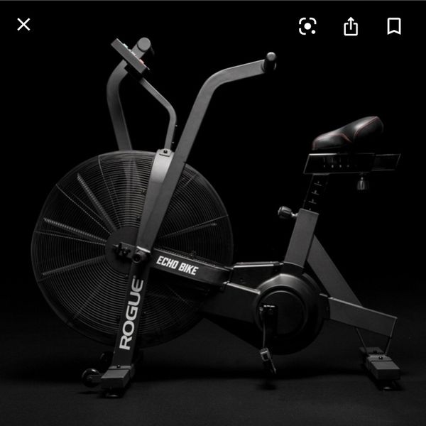rogue echo bike black friday
