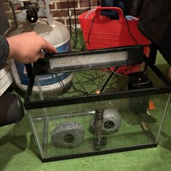 5 Gallon fish Tank With A Fluval light/ filter/Heater/Rocks