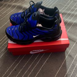 Air Max Plus Royal Blue