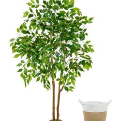 Artificial Ficus Tree