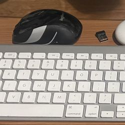 Apple Mouse And keyboard 