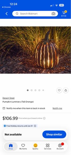 Desert Steel Orange Tall Pumpkin Luminary