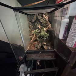 Large tank