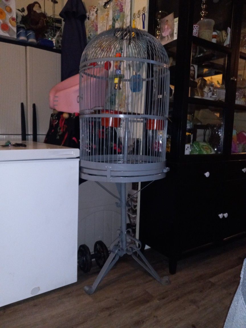 Bird Cage