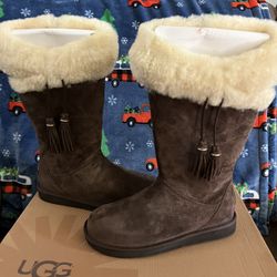 Ugg Plumdale Tall Boots Size 9