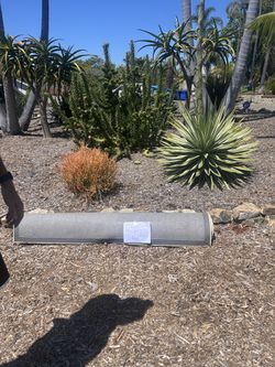 FREE SOLID CREAM WOOL RUG!! 6 X 9