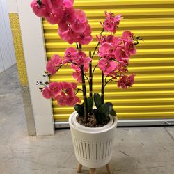Fake Plant 