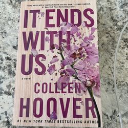 It Ends With Us Book
