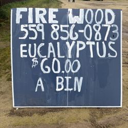 Eucalyptus Fire Wood  / Selma