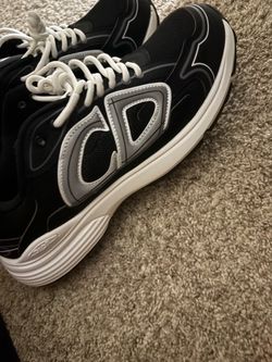 Dior b30