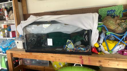 40 Gallon Tank