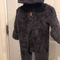 Teddy Bear Suit