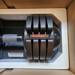 Adjustable Weights 