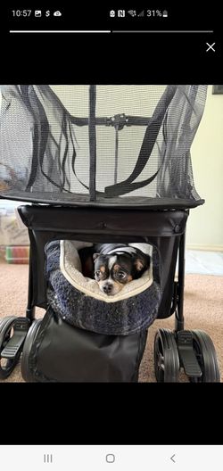 Folding Shopping Cart & Pet，110lbs ，2-in-1 Personal Cart with Removable