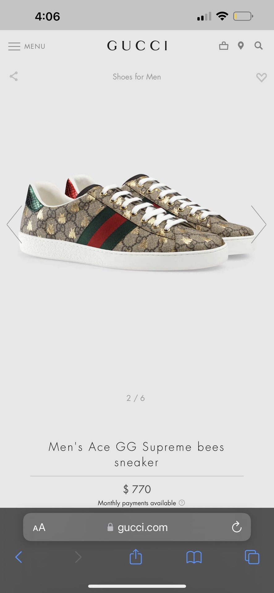 Ace Gucci Shoes