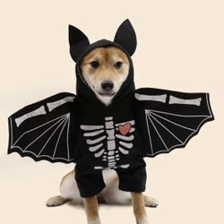 Pet Costume Dog Or Cat