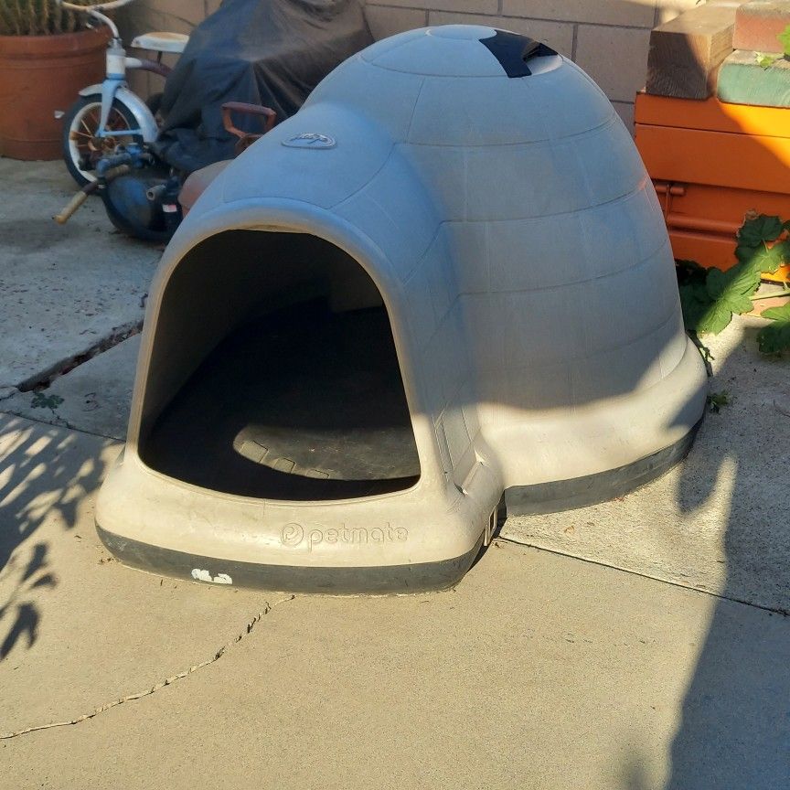 Dog House