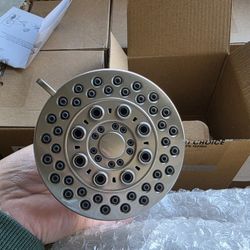 Brushed Nicole Shower Head New