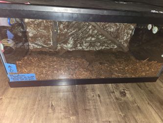 Terrarium Reptiles 40g