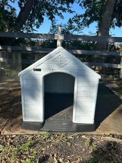 Dog house