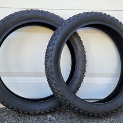 Two Fat Tire (24" x 4.00)