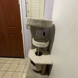 cat Tree House