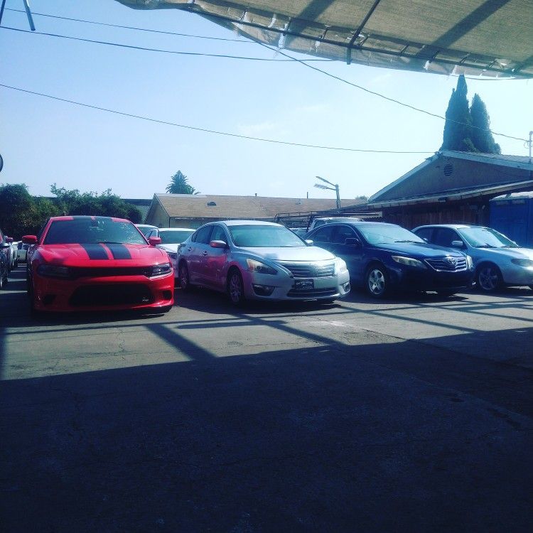 cars for sale