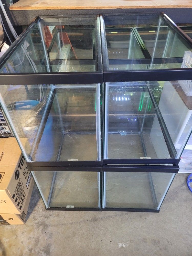 20gal Fish Tank