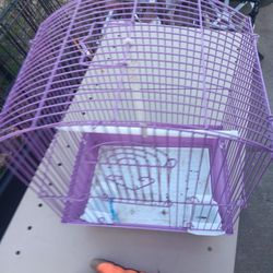 Small bird  Cage