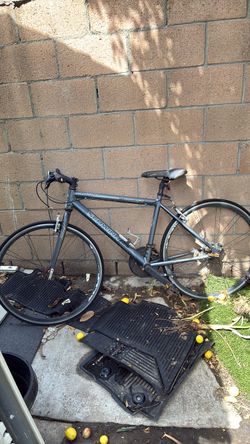 Schwinn Bicycle