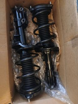 Shock/Struts & Coil Spring Assembly