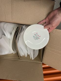 Dinner Plates