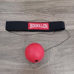 BoxBollen Reflex Punching Ball