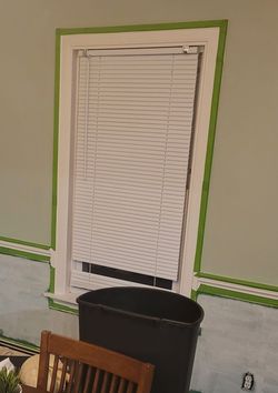 Free Window Blinds