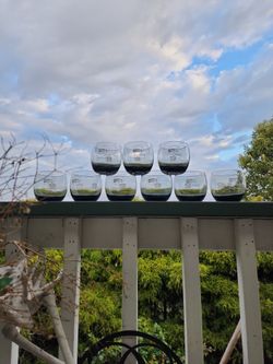 9 Vintage Smoke Grey Seahawk Glasses