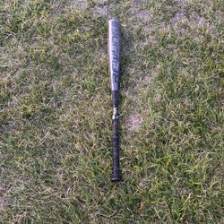usa bat