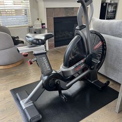 Assault Bike Elite