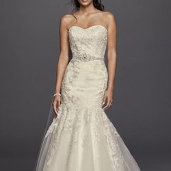 Wedding Dress and Veil