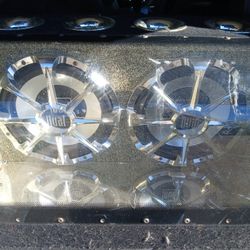 Dual Subwoofers 