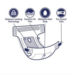 Frisco Disposable Female Dog Diapers - Medium