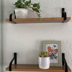 Fake Plants + Shelves 