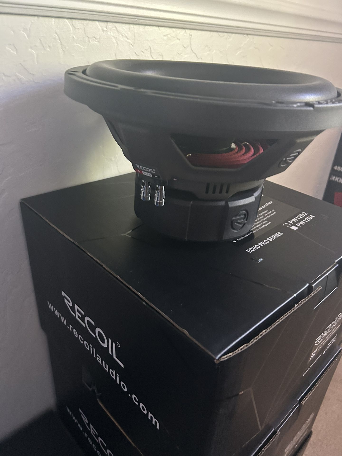 12” Subwoofer