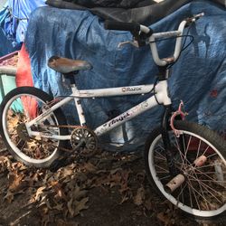 Nice 20 inch BMX bike only $50 firm